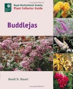 The Buddleja Garden